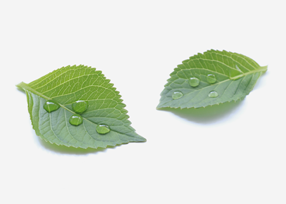 Pampers® Pure Protection