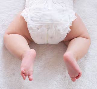 Поглинають вологу та утримують її всередині