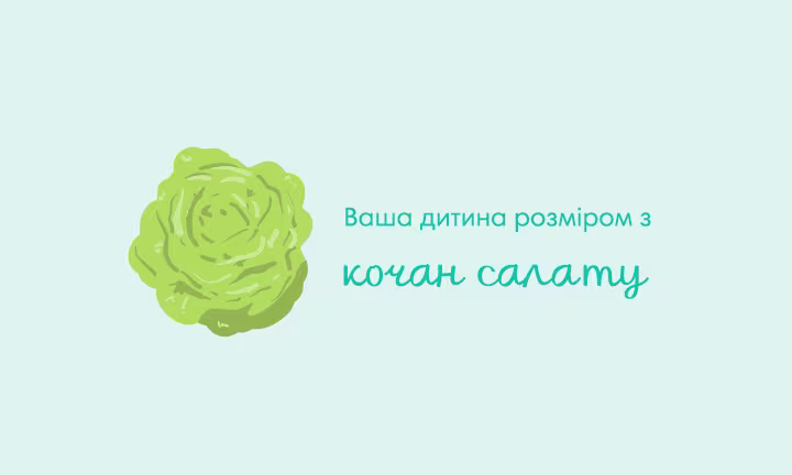 pregnancy-week-by-week-week-28