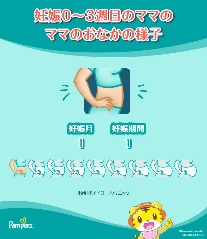 妊娠0～3週目のママのおなかの様子