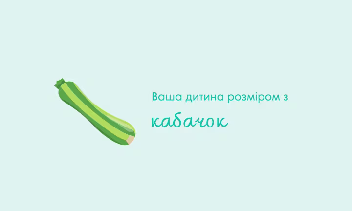 pregnancy-week-by-week-week-26