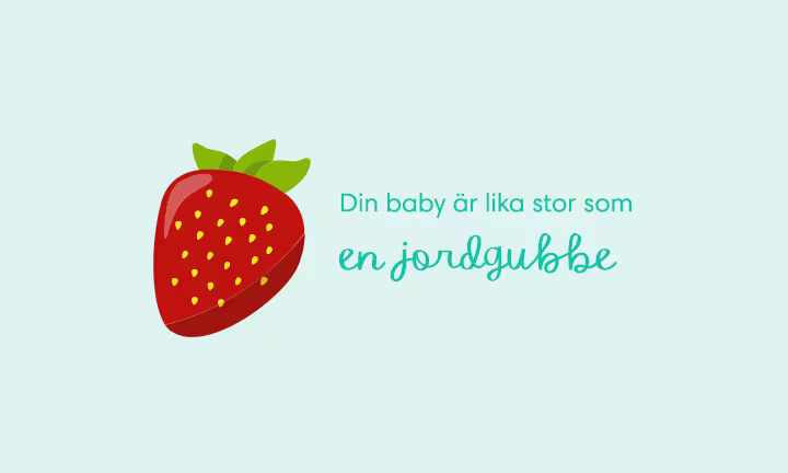 Week 10 pregnancy