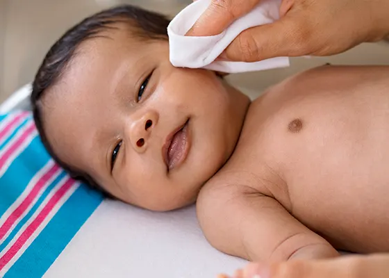 Para uso de colas, manos y caras*