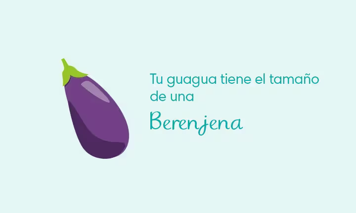 23 semanas de embarazo
