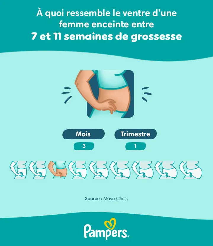 Ventre d’une femme enceinte après 7 semaines de grossesse