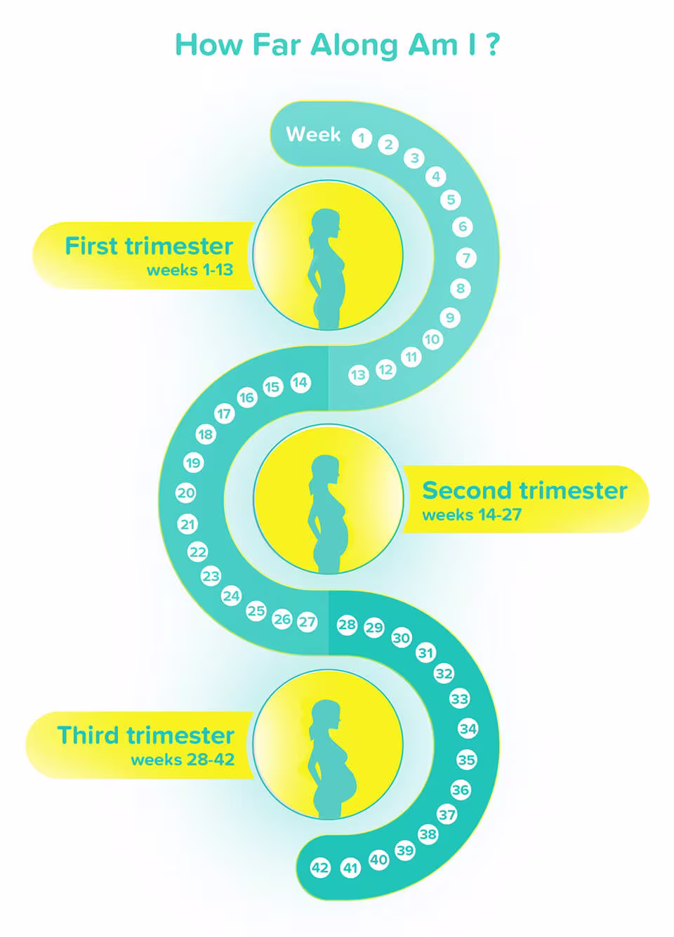 how far along am i in my pregnancy-Article Content Image How far along am I