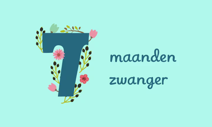 7 maanden zwanger