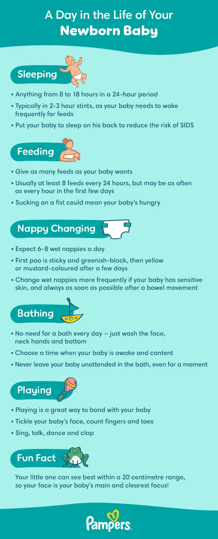 Infographic 2 UK Pampers 0 month old Daily Routine 720 20240723