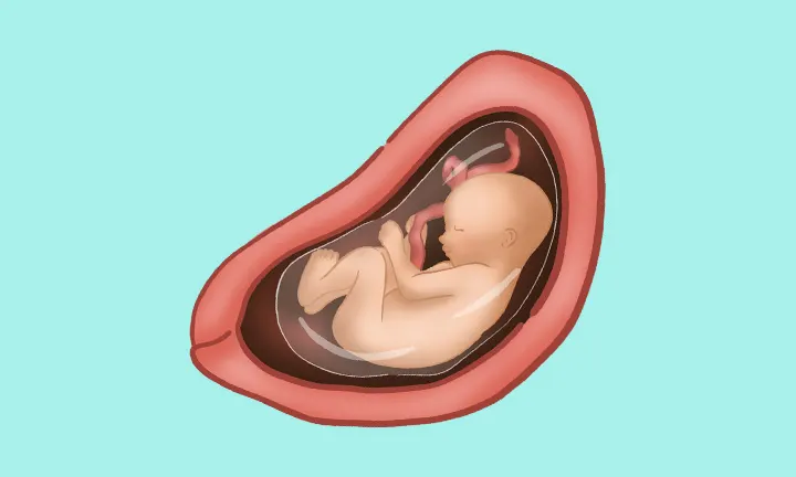 27 tydzień ciąży 27 tydzień ciąży