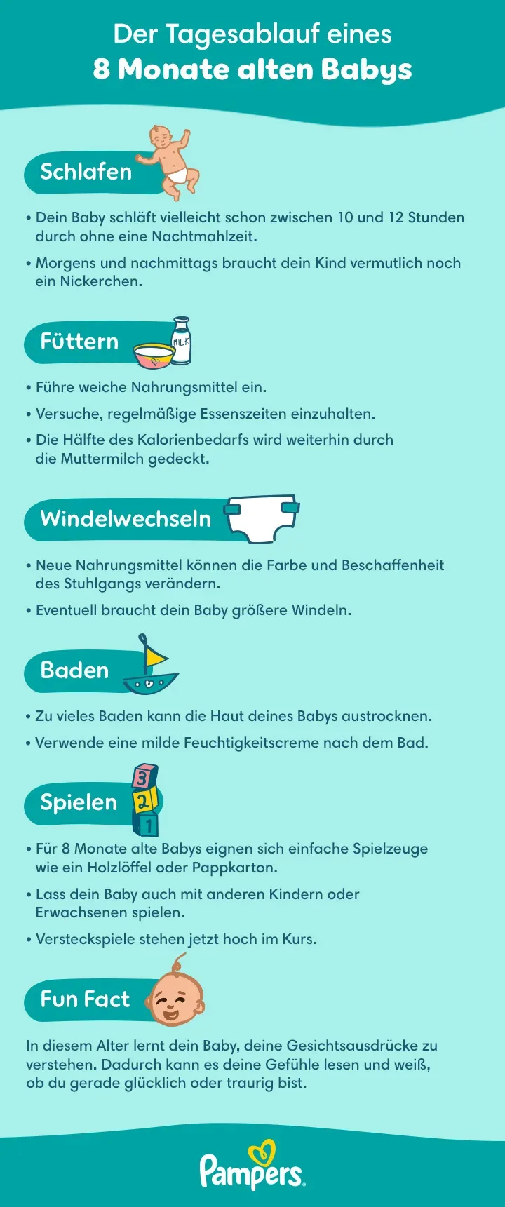 Tagesablauf 8. Monat Tagesablauf 8. Monat