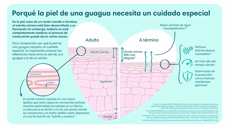 Diferencias de una piel a término vs una piel de adulto | Pampers® Chile