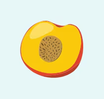 Nectarine icon
