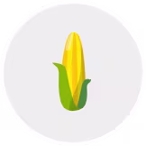 Ikona 24. tjedna