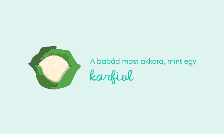 pregnancy-week-by-week-week-27