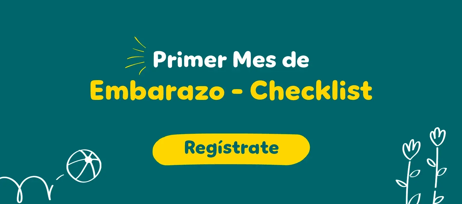 Banner: Primer mes de embarazo - checklist Banner: Primer mes de embarazo - checklist