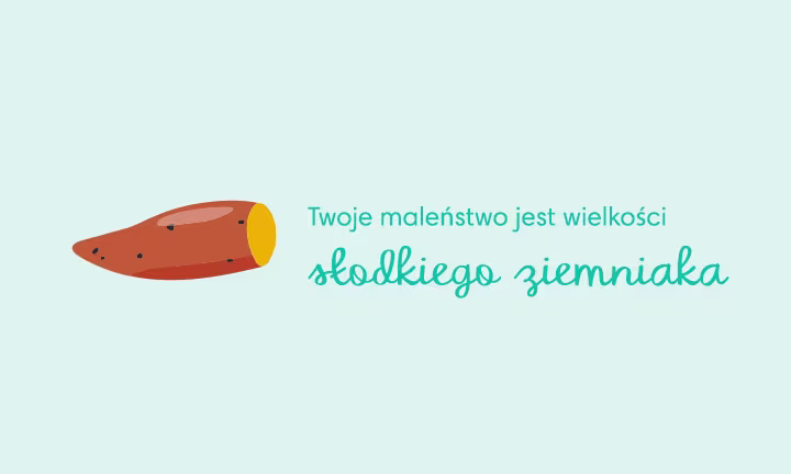 Wielkość dziecka w 18 tygodniu ciąży