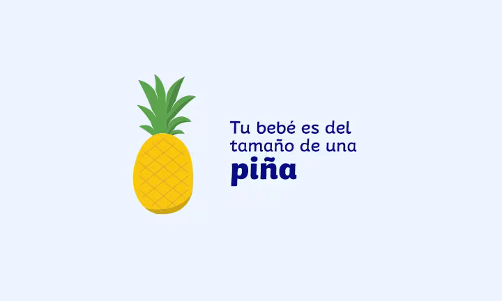 Semana 33 de embarazo