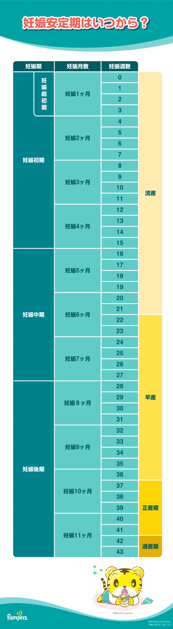 妊娠の安定期とは