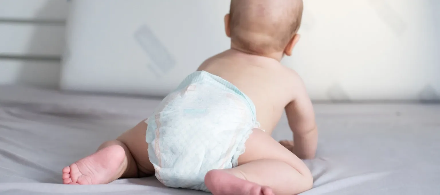 Los mejores 9 botes de basura para pañales Los mejores 9 botes de basura para pañales