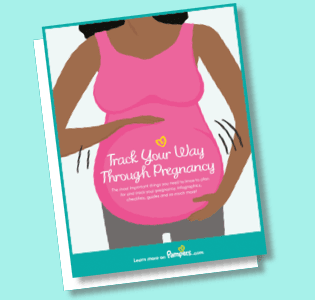 Track Your Way Through Pregnancy