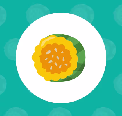 Acorn squash icon