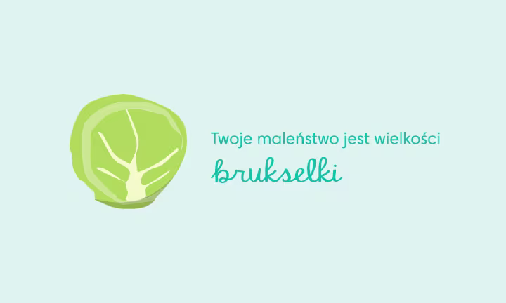 11 tydzien ciazy - wielkosc zarodka