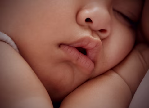 Hypoallergenic Close Up Hypoallergenic Close Up