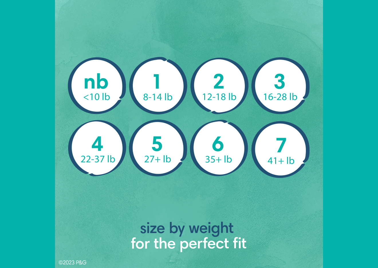 Image shows all of the different sizes Pure diapers are available in