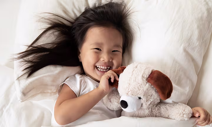 Best toddler bed rails 