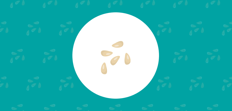 orange seed