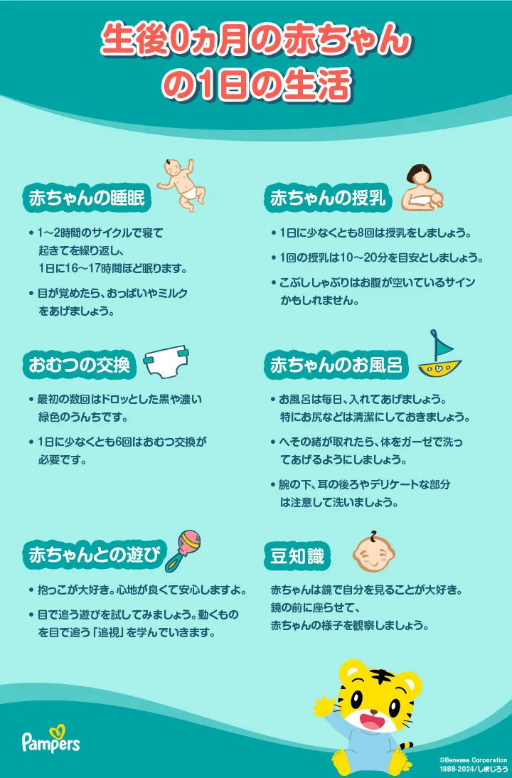 生後0ヶ月の赤ちゃんとの1日 生後0ヶ月の赤ちゃんとの1日
