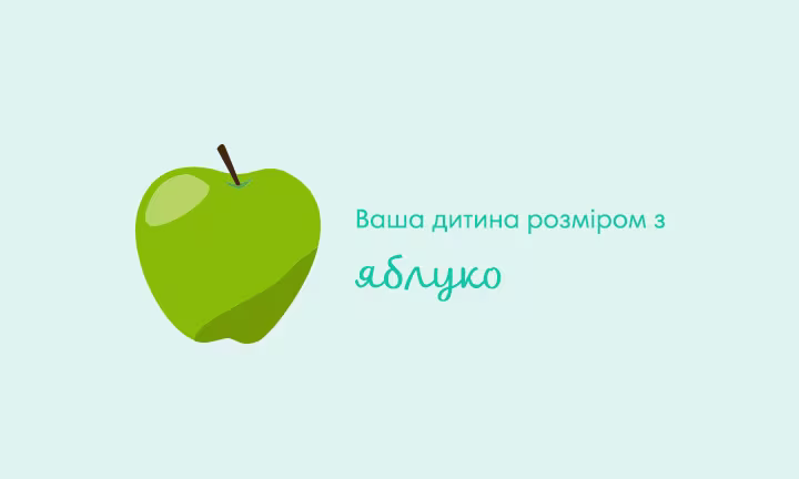 pregnancy-week-by-week-week-16
