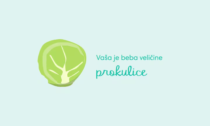 pregnancy-week-by-week-week-11