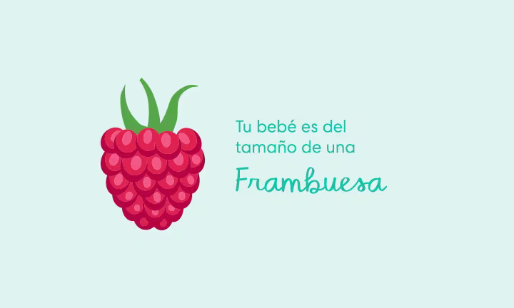Tu bebé es del tamaño de una frambuesa