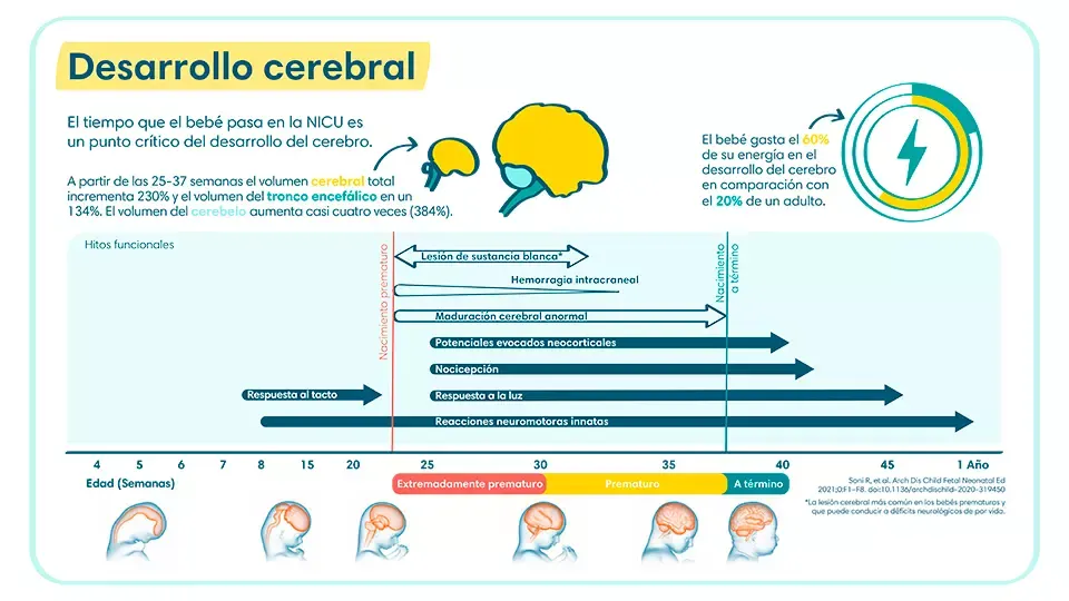 Cuatro pasos de seguridad y calidad que siguen los productos Pampers