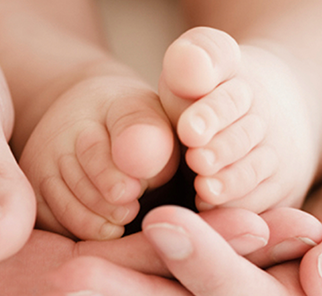 D Sec-Img-Bruce-Wipes03