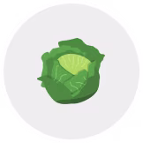 cabbage