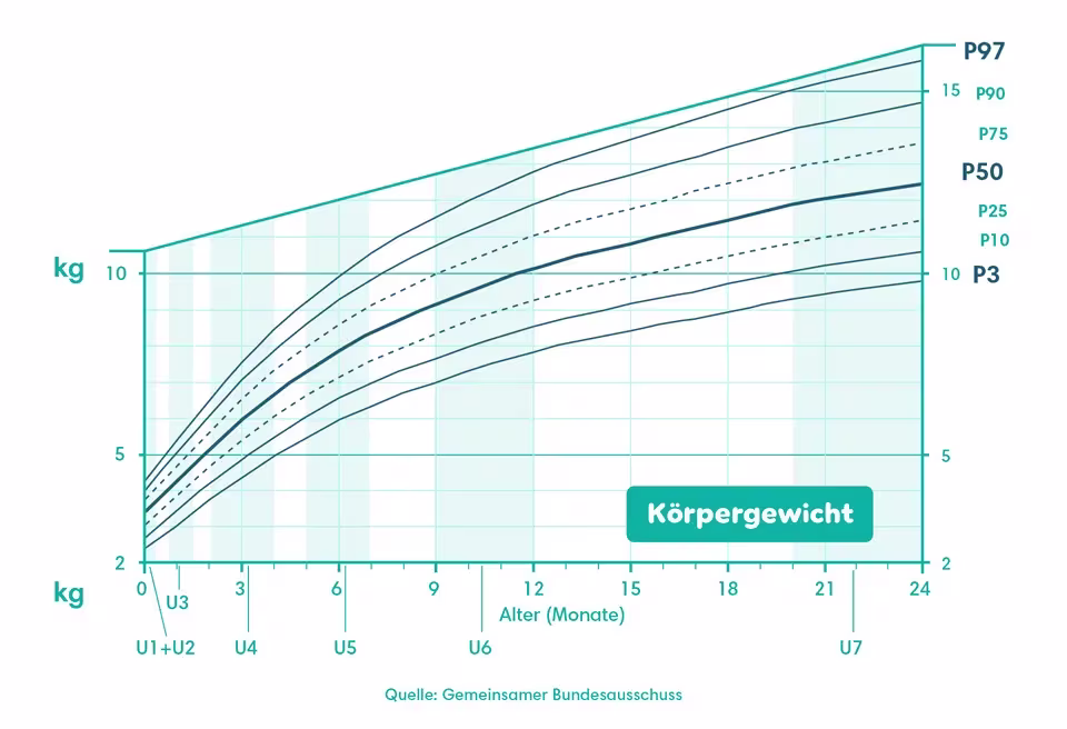 Wachstumskurve mit Gewicht-Perzentilen (P3–P97) für Kinder im Alter von 0–24 Monaten mit den Vorsorgeuntersuchungen (U1–U7).