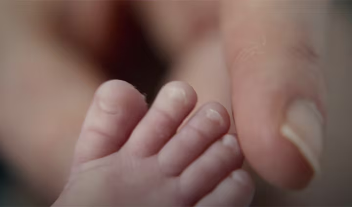 Pampers pour les prémas