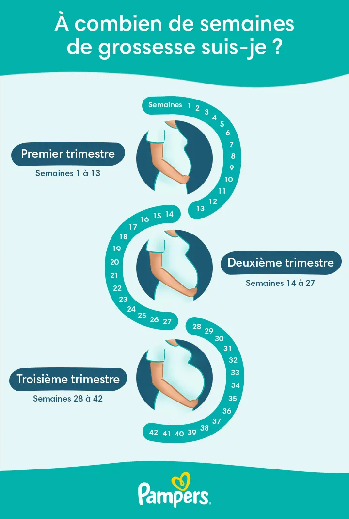 À combien de semaines de grossesse suis-je ?