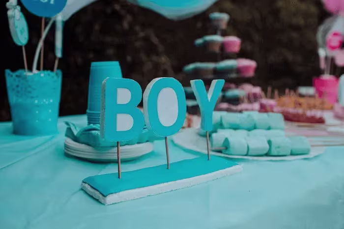 Baby Shower Decorations for Baby Boy