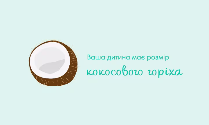 pregnancy-week-by-week-week-31