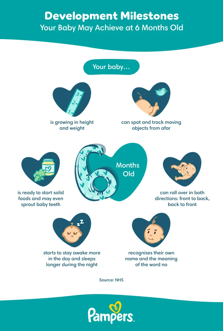 Six-month milestones