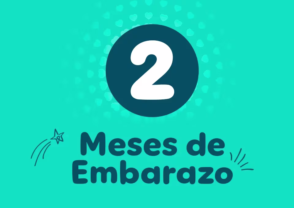 2 meses de embarazo