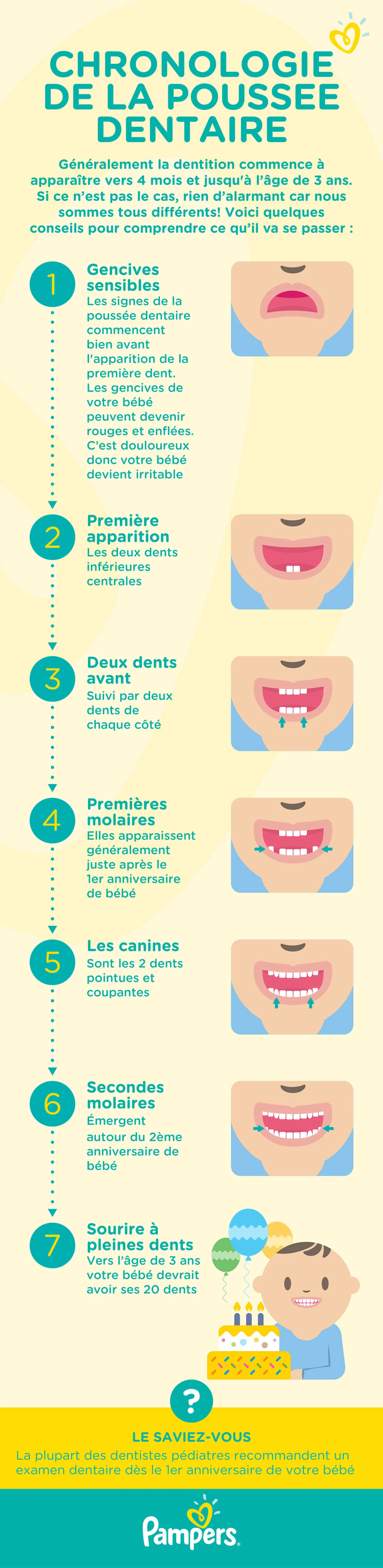 dents de lait bebe les grandes etapes-Article Content Image PAMPERS_STAGES_TEETHING-01_1536