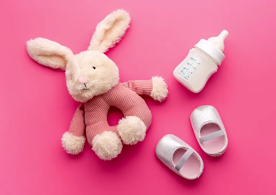 Decoración baby shower niña