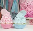 Gender-Reveal-Party