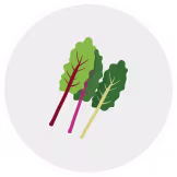Swiss chard
