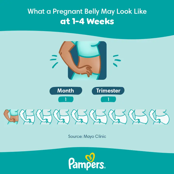 1, 2 and 3 Weeks pregnant belly 1, 2 and 3 Weeks pregnant belly