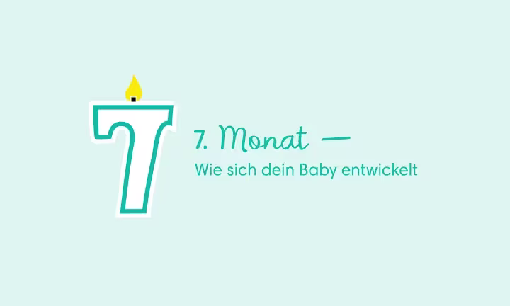 7. Monat